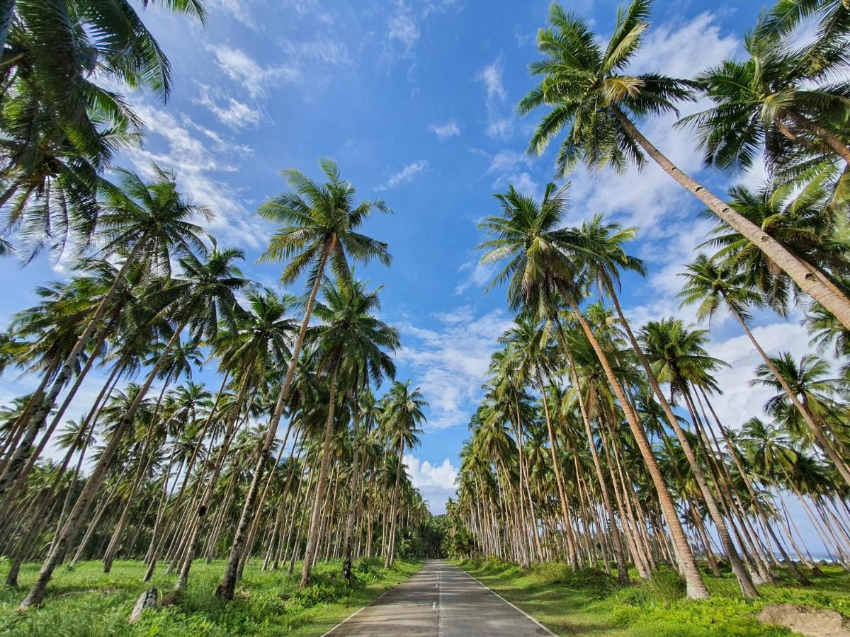 Coleto Siargao Bed & Breakfast San Isidro  ภายนอก รูปภาพ