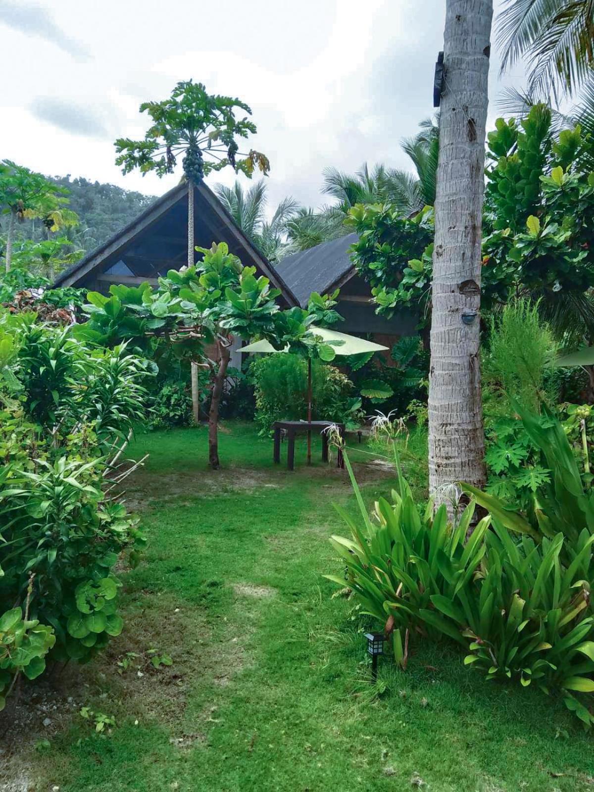 Coleto Siargao Bed & Breakfast San Isidro  ภายนอก รูปภาพ
