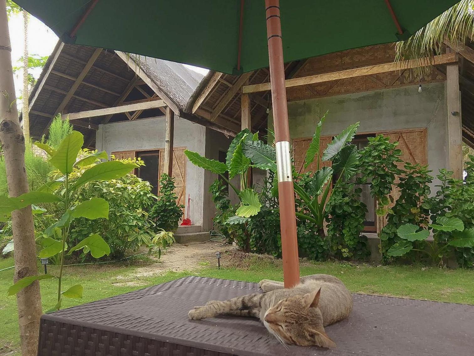 Coleto Siargao Bed & Breakfast San Isidro  ภายนอก รูปภาพ