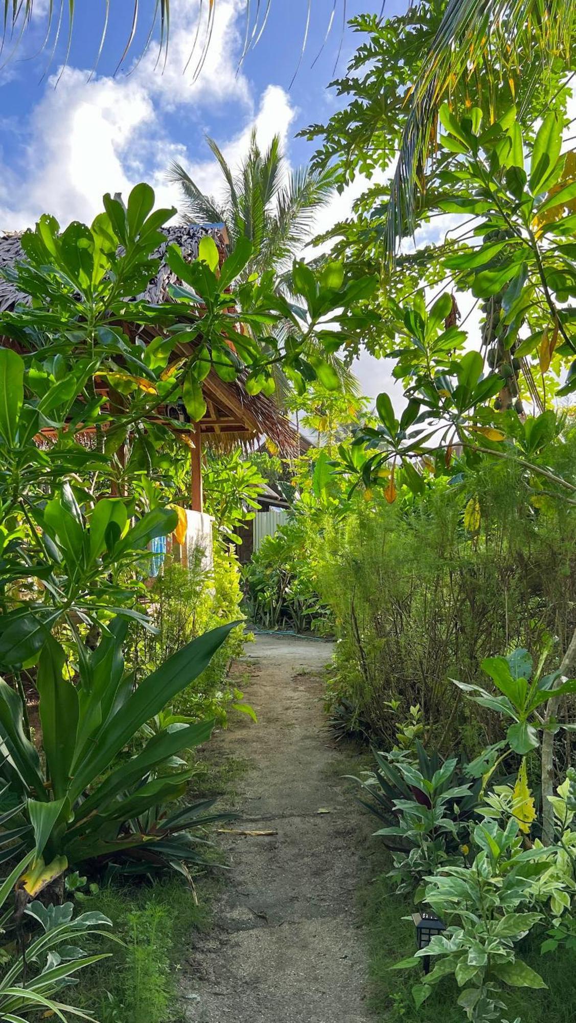 Coleto Siargao Bed & Breakfast San Isidro  ภายนอก รูปภาพ