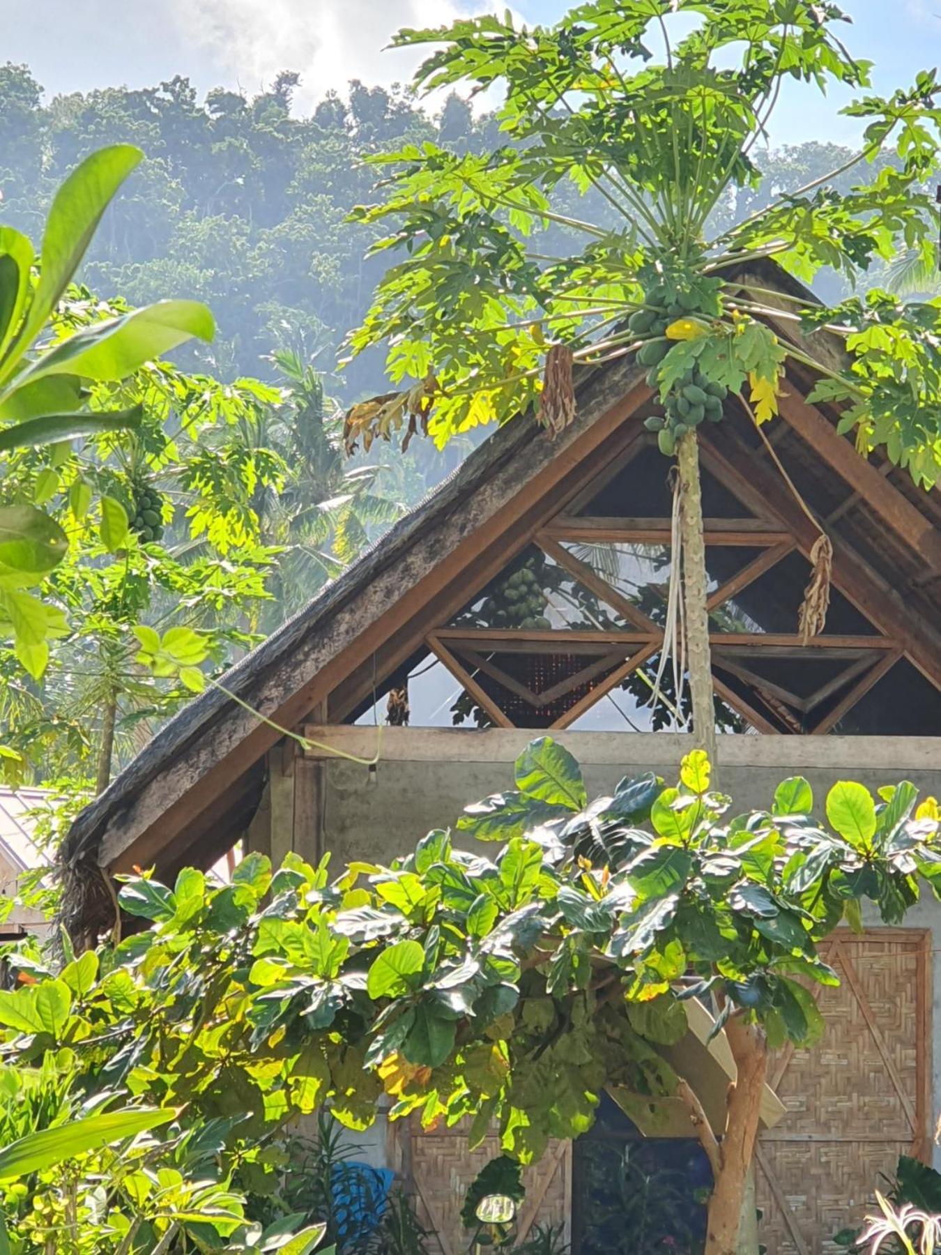 Coleto Siargao Bed & Breakfast San Isidro  ภายนอก รูปภาพ