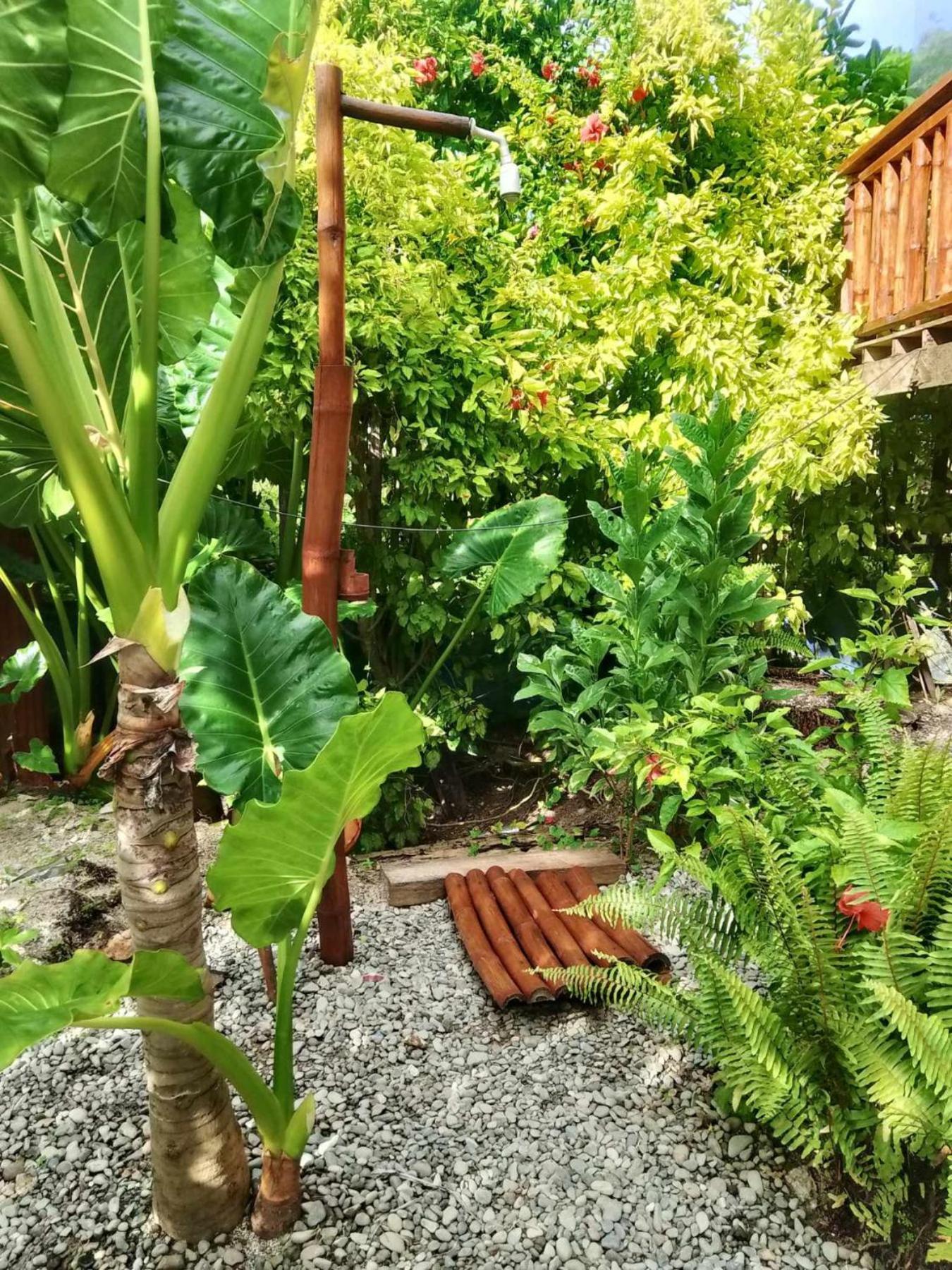 Coleto Siargao Bed & Breakfast San Isidro  ภายนอก รูปภาพ