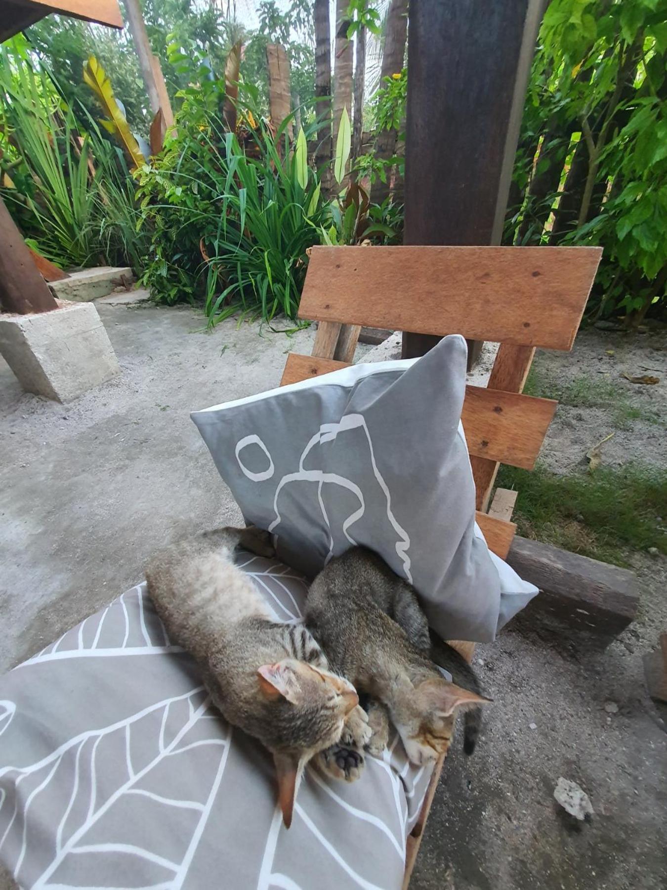 Coleto Siargao Bed & Breakfast San Isidro  ภายนอก รูปภาพ